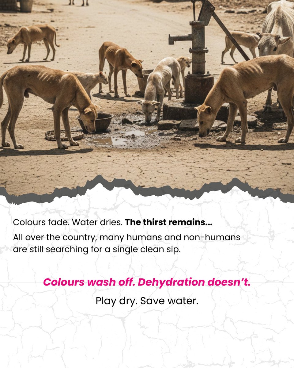 They dont have the luxury of your round the clock protection from any cruelty. Please make an effort for signs of fun that might be injurious to your community animals today.
