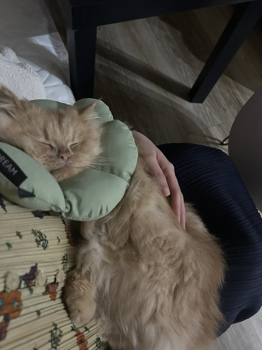 archiviste's tweet image. #Spoiled