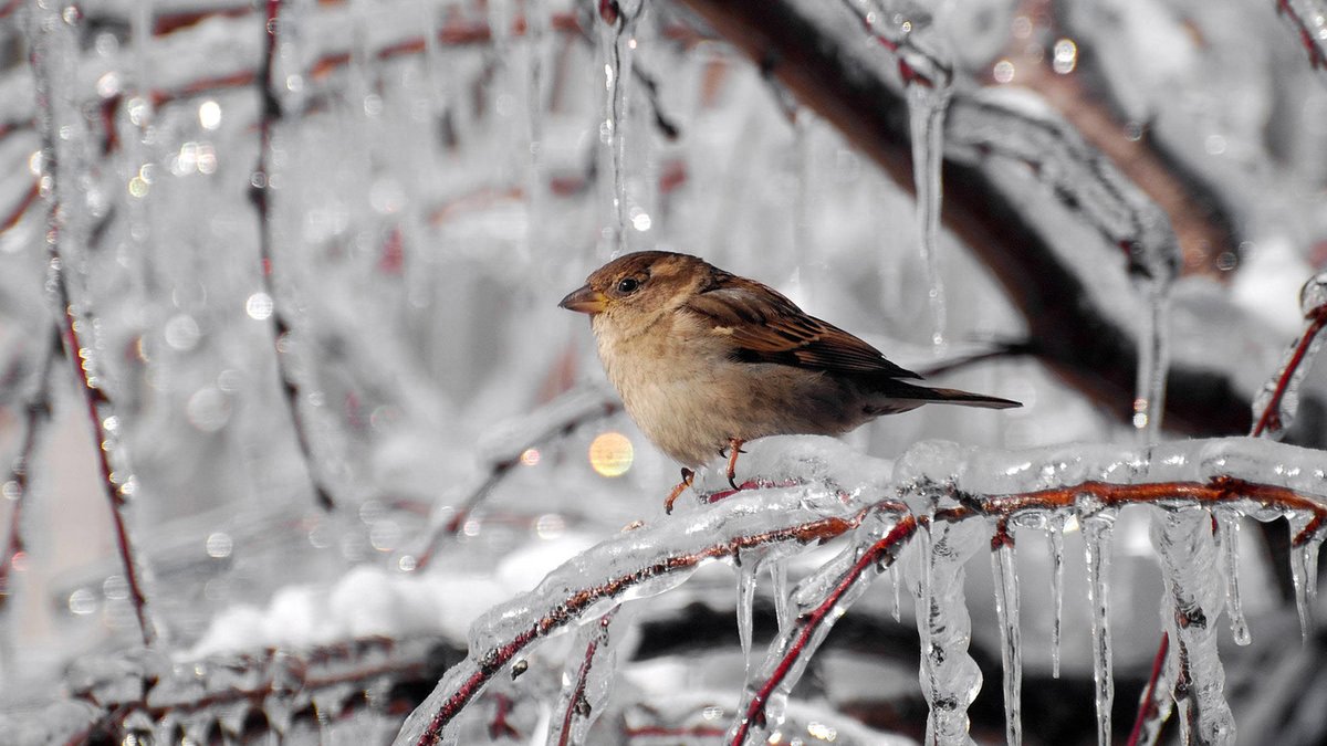 Валерия Ладамина tweet media