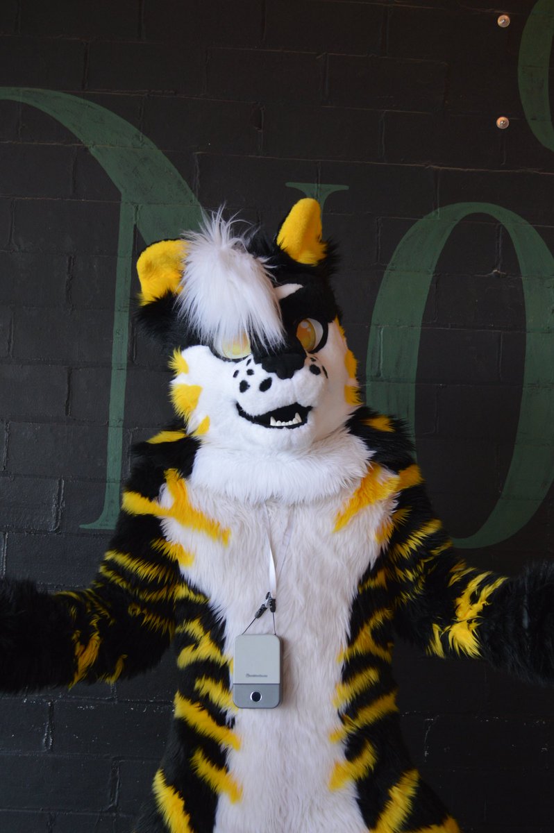 donzthetiger's tweet photo. Fursuit vs fursuiter https://t.co/TtFSmd22S2