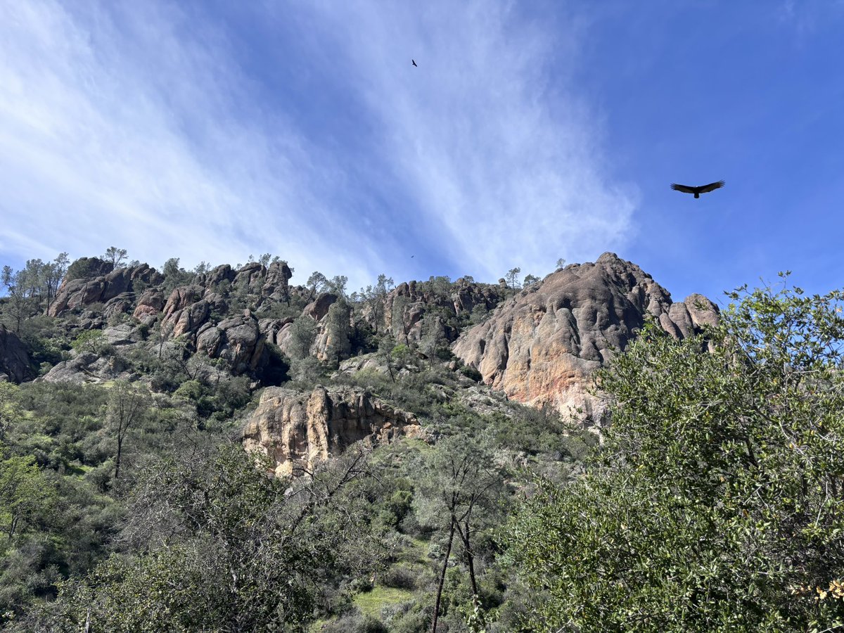 aIfawhore's tweet photo. 1. Pinnacles:
First up is Pinnacles and this place was pretty awesome. Most of the views were lowkey pretty samey but the trail I went on took me through a pitch black cave with a waterfall in it and it was beautiful. I don’t think I’d be rate it properly but it was great overall https://t.co/rzintggh8z