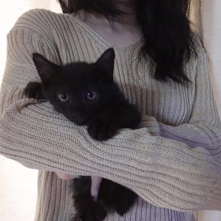 blackscats's tweet photo. https://t.co/yOp9dJytJI