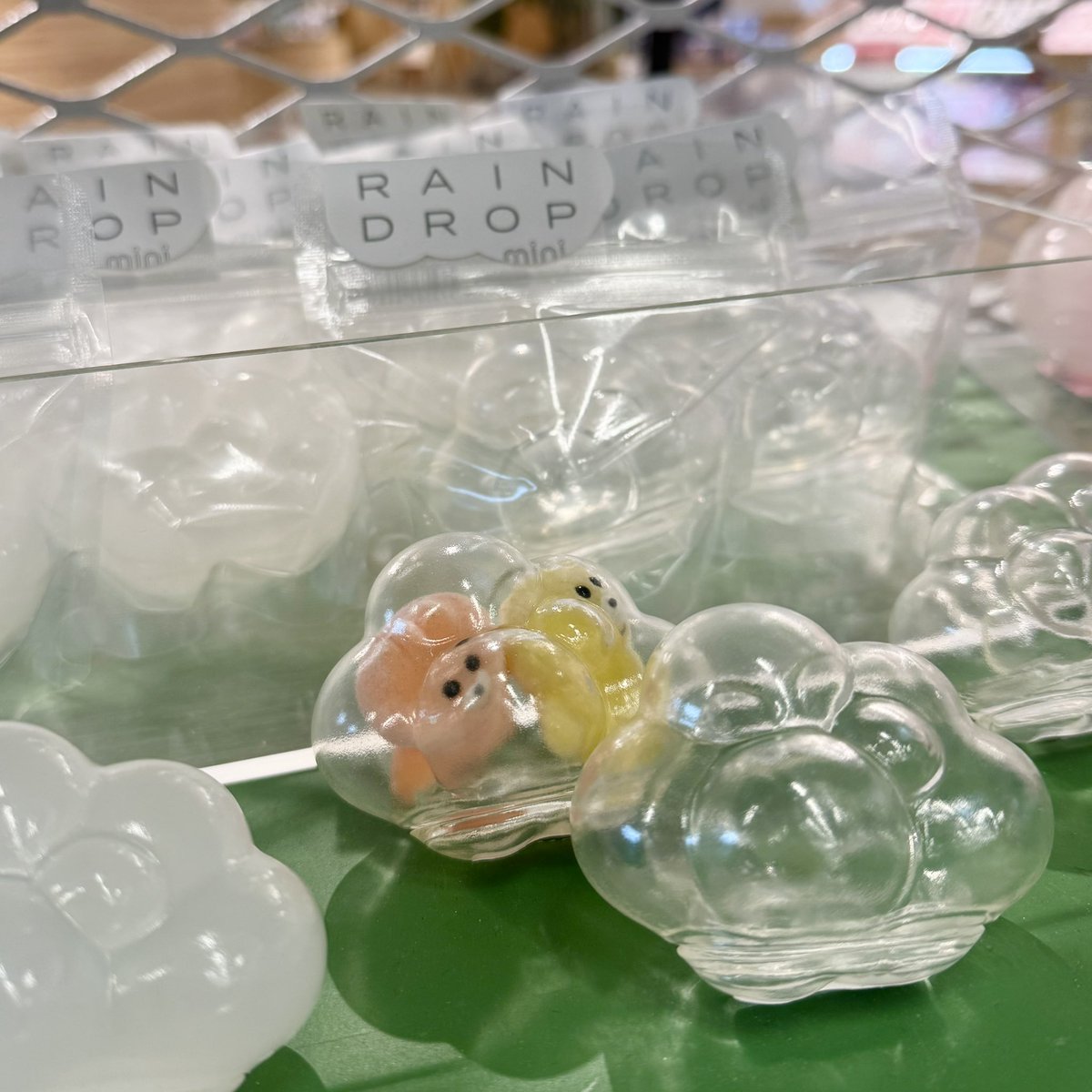 Chukukobo's tweet image. ケンエレブンシツで発見👀🔅

#RAINDROP