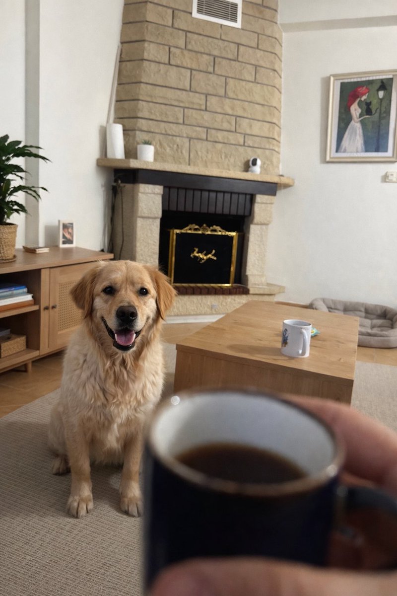 günaydın, bu kızın adını kuki koymuşlar barınakta
biz de öyle devam ediyoruz 
dev bir cookie kendisi sütlü hem de
şimdiden yuva arıyorum
kedisiz evde daha rahat eder çünkü kedilerden çekiniyor
köpeklerle anlaşıyor
olgun, karakteri oturmuş bir köpek ancak ilgi bekliyor
bir insana
