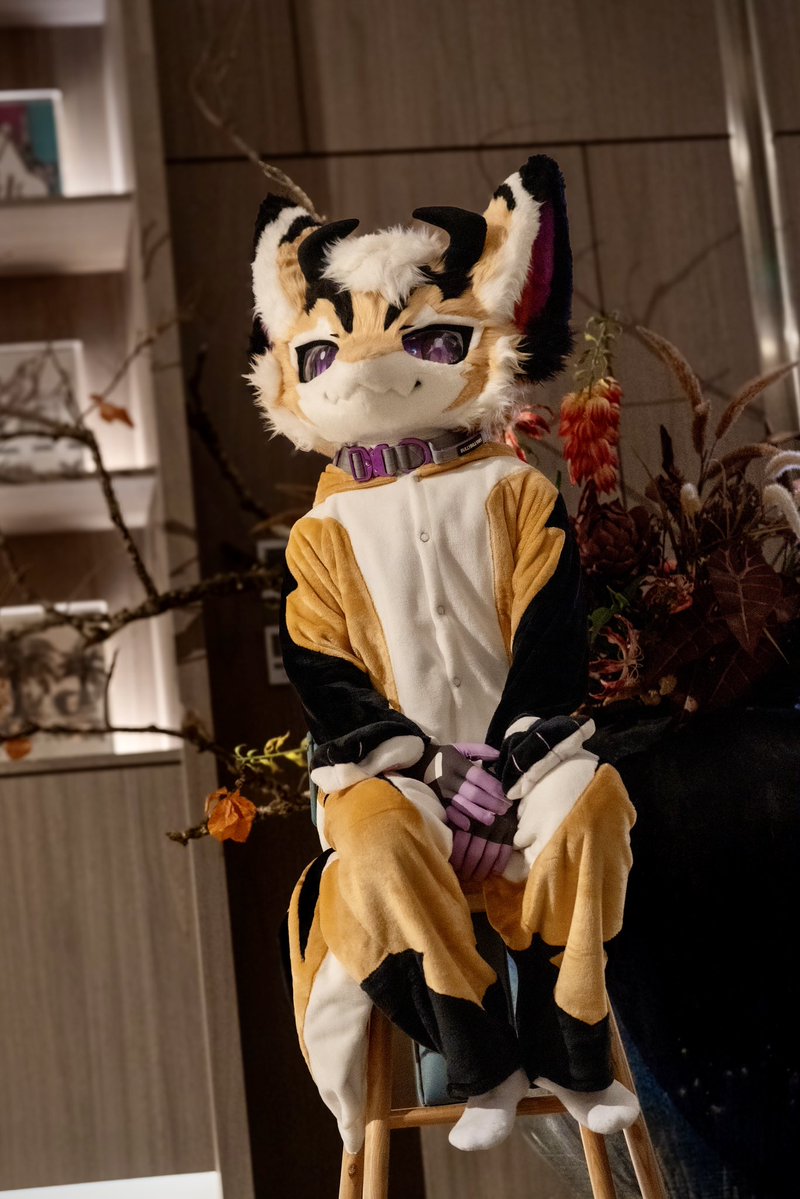 沃爾夫 & 幻幻小龍 🔜 2026 UTFG🇹🇼 tweet media