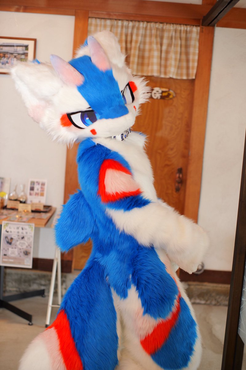 しーさん (@imwinterqwq) / Posts / X