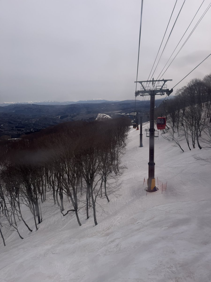 369nsm's tweet image. 数年ぶりにスノボーに行ってきた🏂
体の衰えを感じる👴