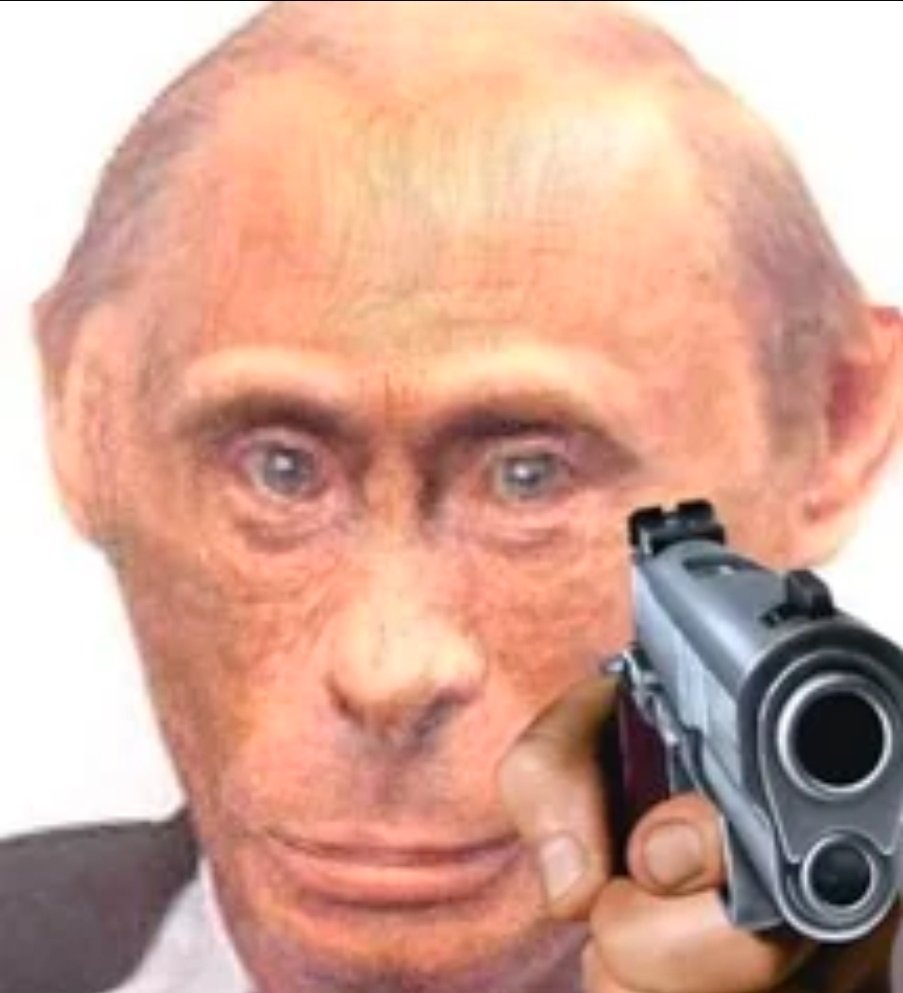 🐀🔪 tweet media