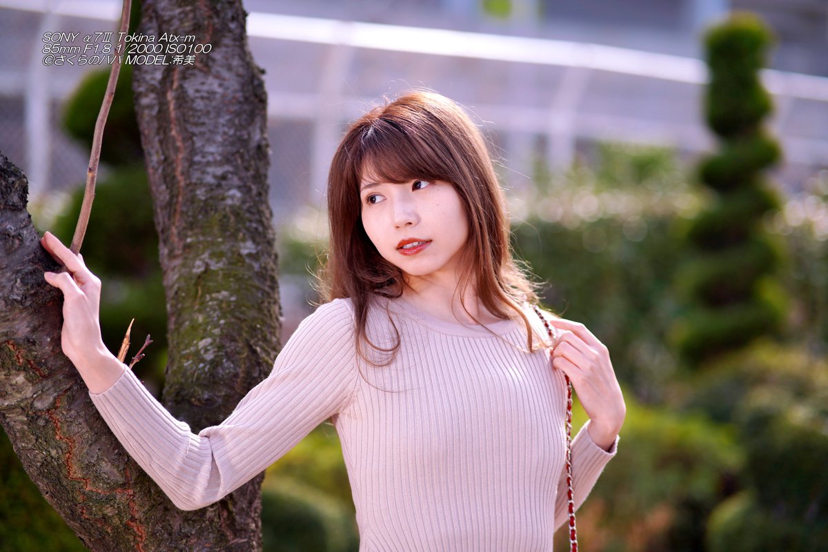 🇺🇦さくら🐇のパパ🇯🇵高配当株に移行中🇺🇦 (@K70_55) / Posts / X