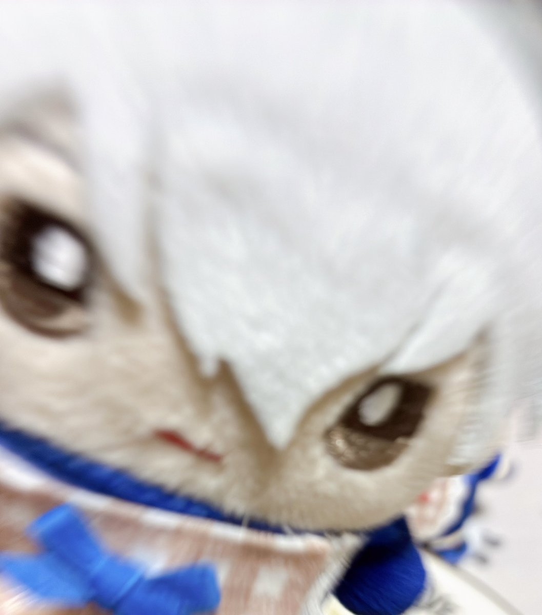 ひなの𓅫 tweet media