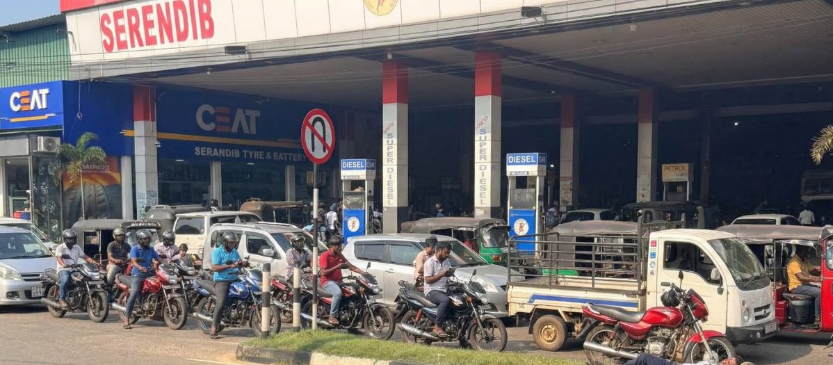 NewsCurrySL's tweet photo. With SLC Out Of T20 World Cup, Lankans Switch To National Sport Of Panic Buying And Hoarding. 
#lka #NewsCurry https://t.co/t27NkZfFhT