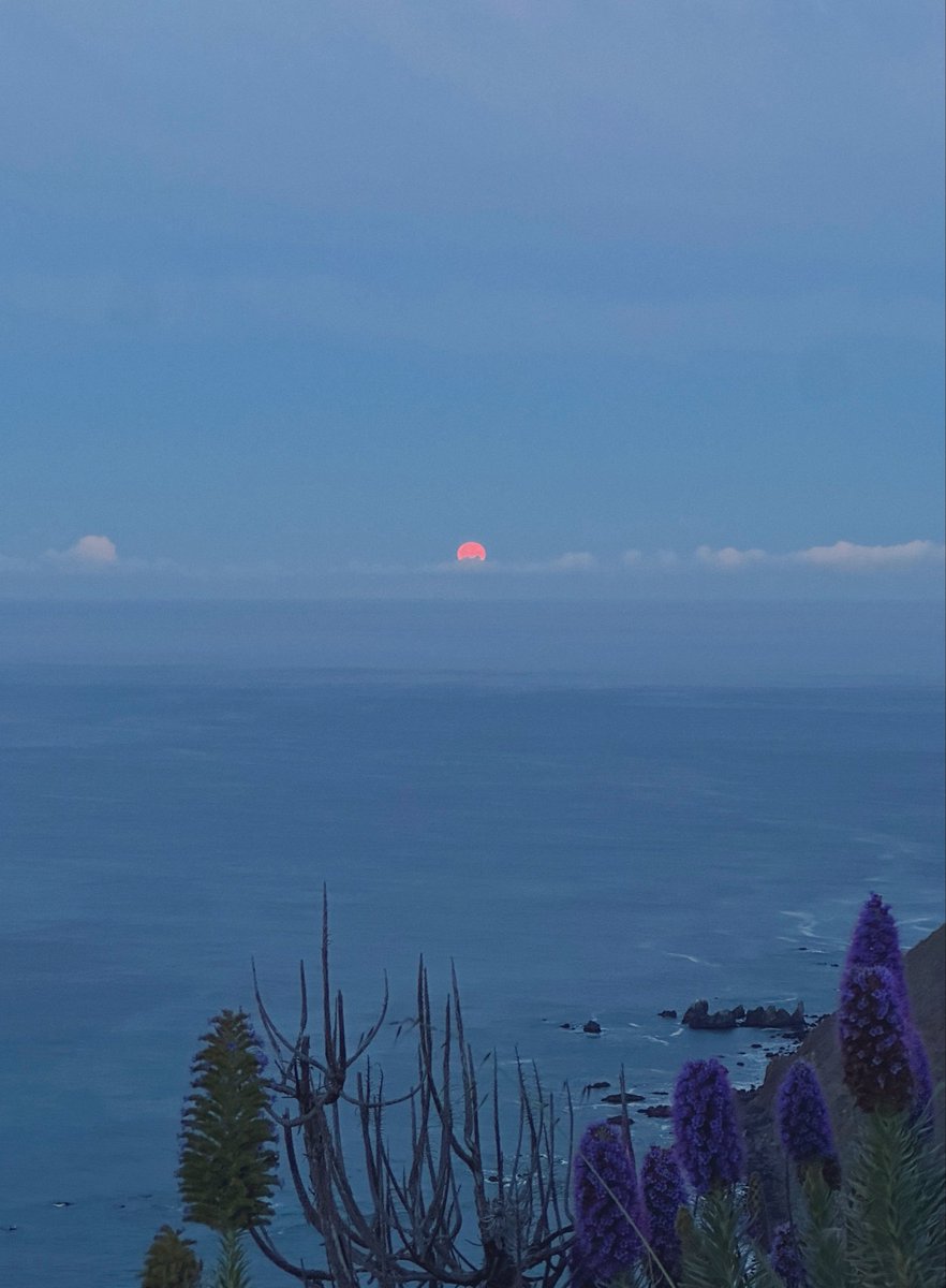 digitlartifacts's tweet photo. the eclipse tonight peaks around 3 AM on the west coast and the moon will set over the ocean just after sunrise, 6:43 AM https://t.co/vTKJXIB4Ku