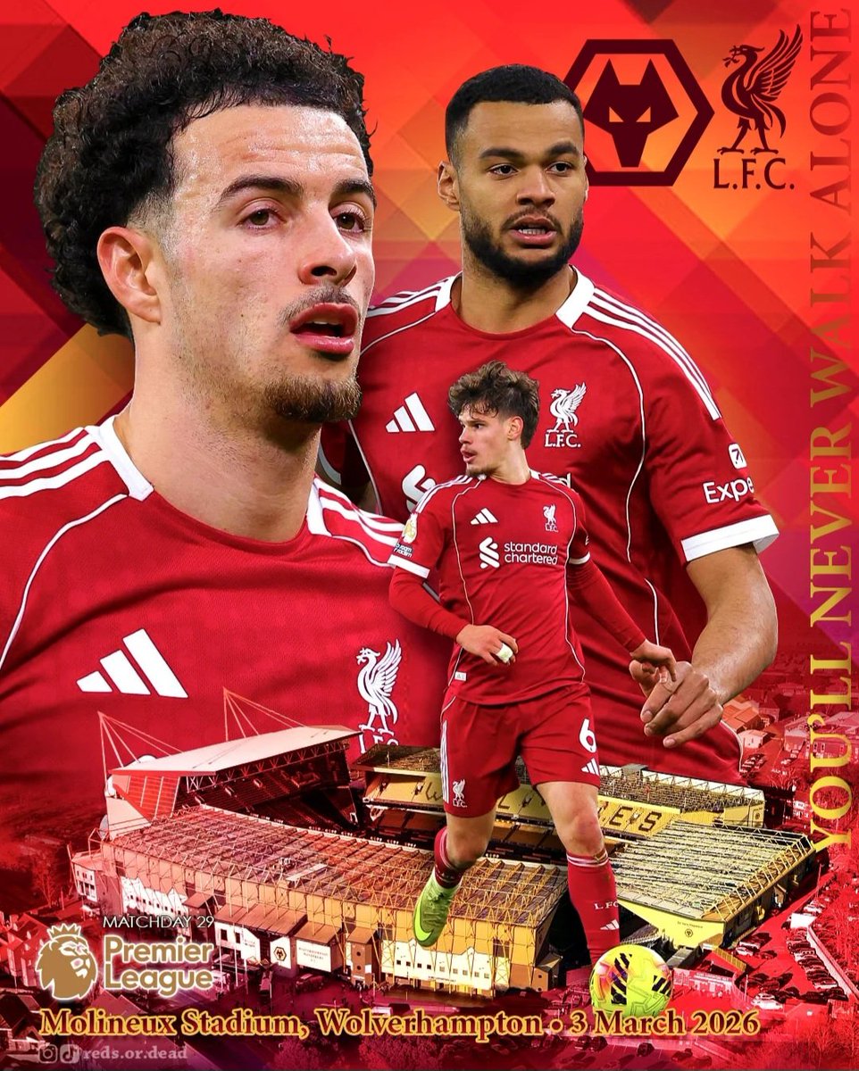 The Red 🔴 Johnsen tweet media