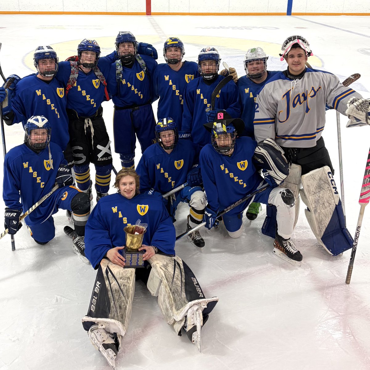 Waseca Boys Hockey tweet media