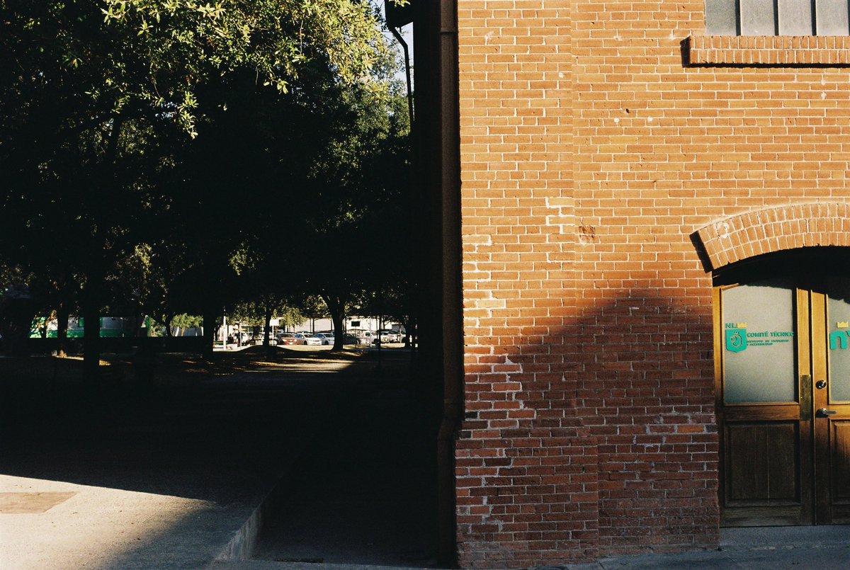 Caastisho tweet media