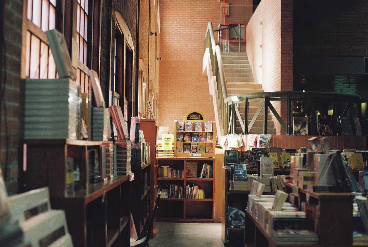 Caastisho tweet media