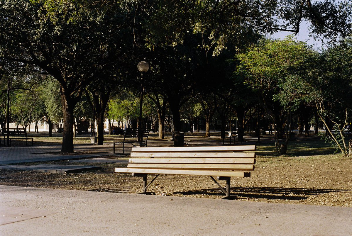 Caastisho tweet media