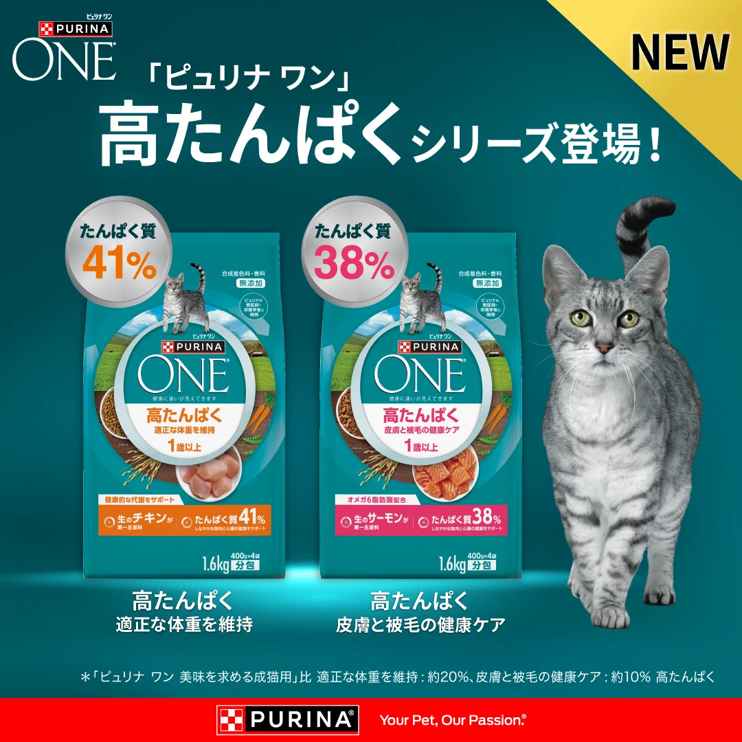 らむくん様検討中】PURINA ONE 高タンパク 4袋 Amazon | ピュリナワン