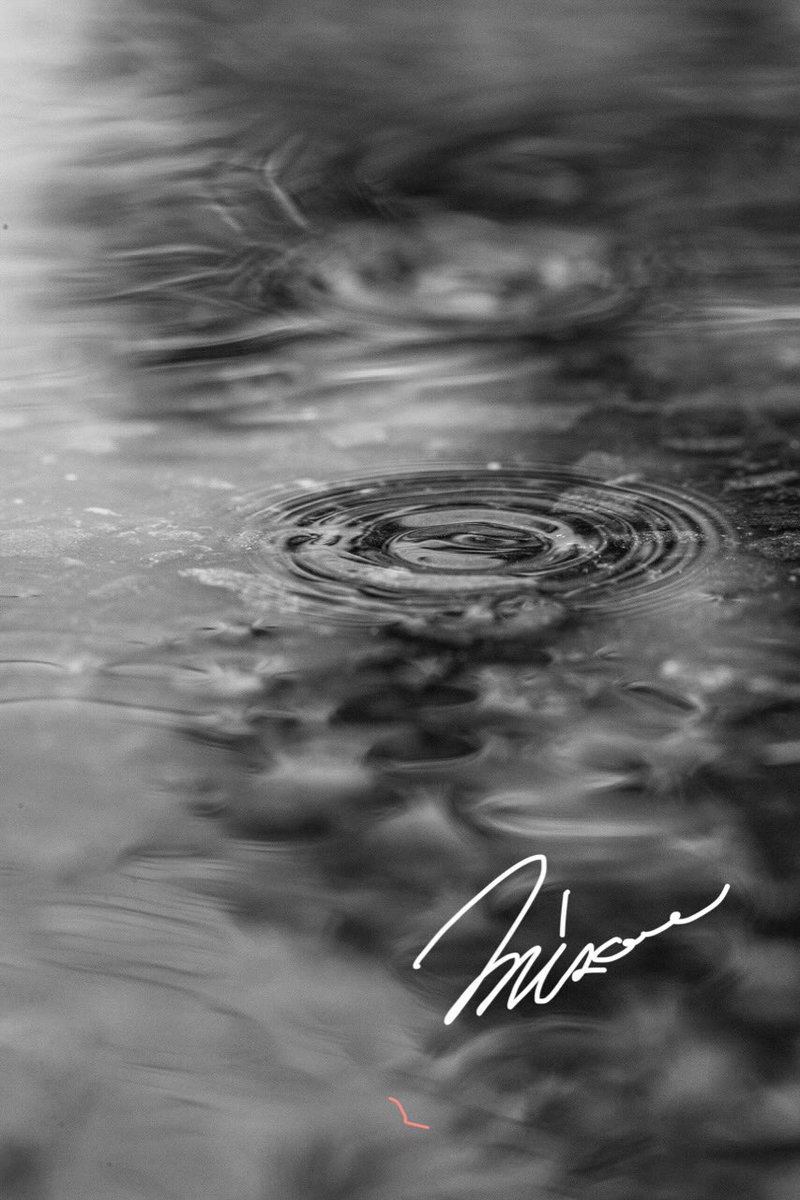 zerooffice11's tweet photo. 1/100.の光景

#japan #photo #photographer #モノクロ #雨 #ファインダー越しの世界 https://t.co/A3XaKY9CXi