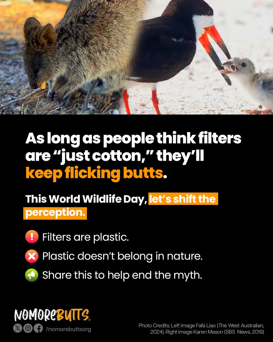 Do you know someone who still thinks cigarette filters are made of cotton?

It’s one of the biggest myths in environmental waste. They aren't. They are cellulose acetate - a persistent plastic.

This World Wildlife Day, help us spread the truth. 

#NoMoreButts #WorldWildlifeDay