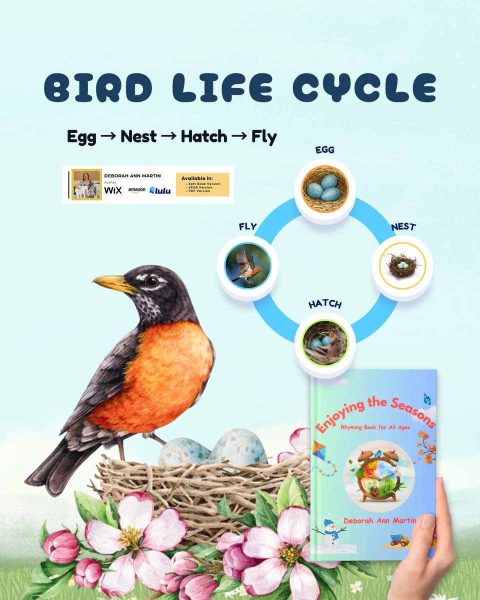 DeborahMar35329's tweet photo. Spring science made simple 🐦
Use this poem to introduce bird life cycles during your spring curriculum.

Link:https://t.co/R9KByy4Yz0
Amazon: https://t.co/WPENb3RbsZ

#BirdLifeCycle #LifeCycleLearning #EggToFly #NatureForKids #ScienceForKids #SurvivingLifeLessons https://t.co/1OZmxlfj63