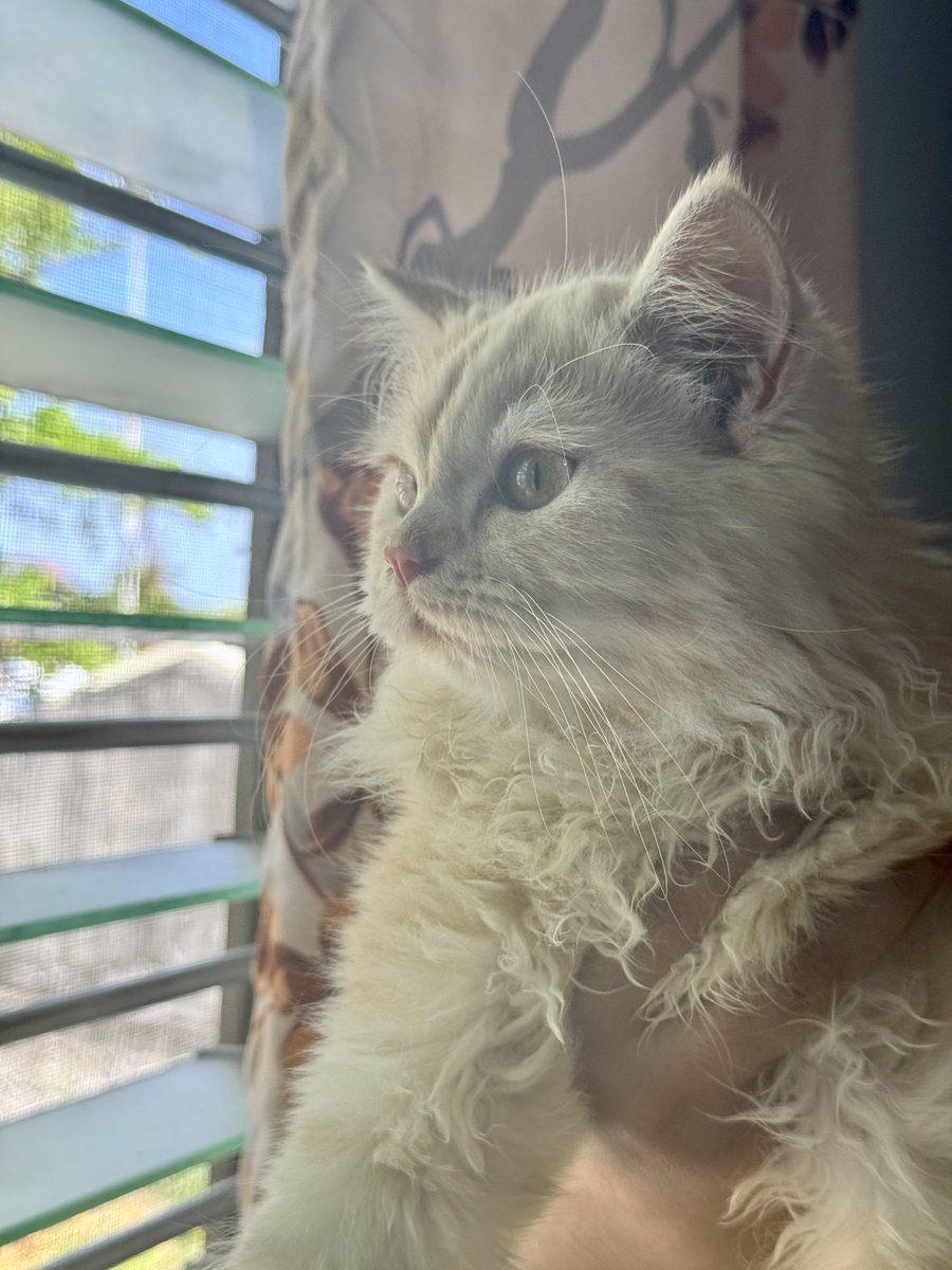 daily handsome