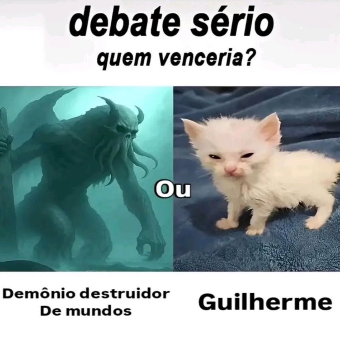 gatos fazendo gatices (@gatinarios) on Twitter photo 