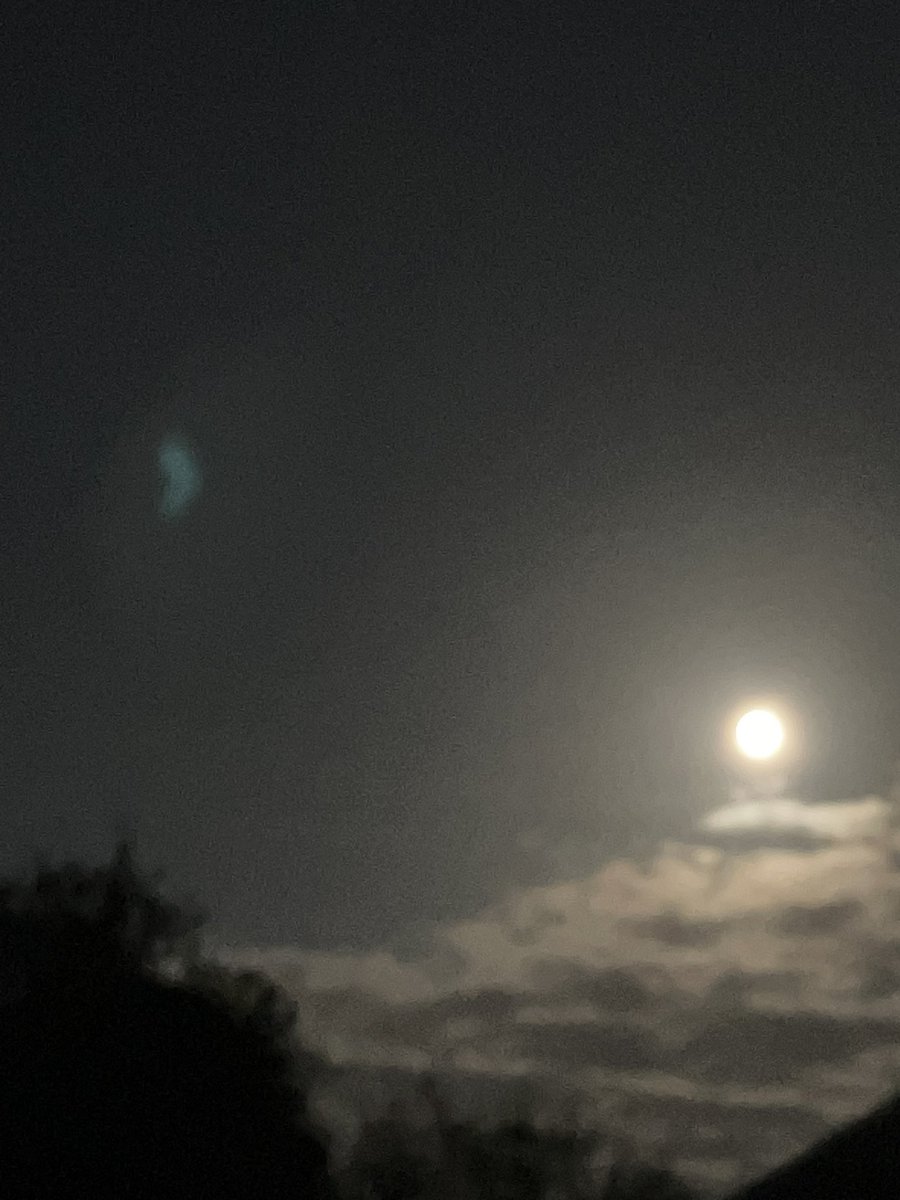 chardonnay mystique tweet media