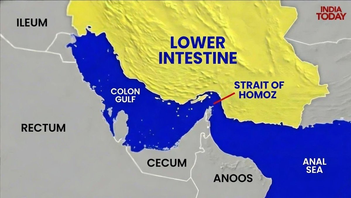 Iran has now completely closed the Strait of Homoz.

Trump's options now:

1. Attempt to penetrate the Homoz with a vigorous thrust.

2. Offer Iran money to open up the Homoz for him.

3. Look for more straits to convert to new Homoz.
