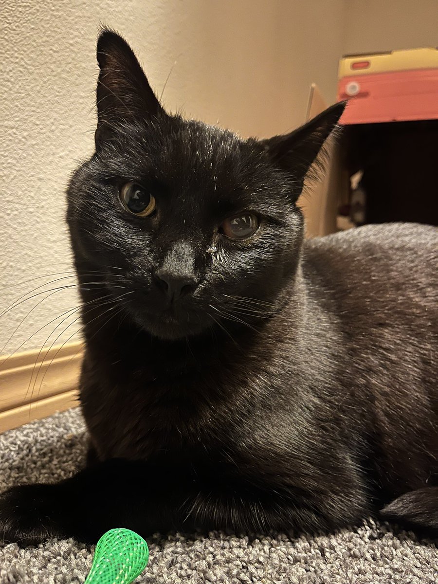 Frank Noble tweet media