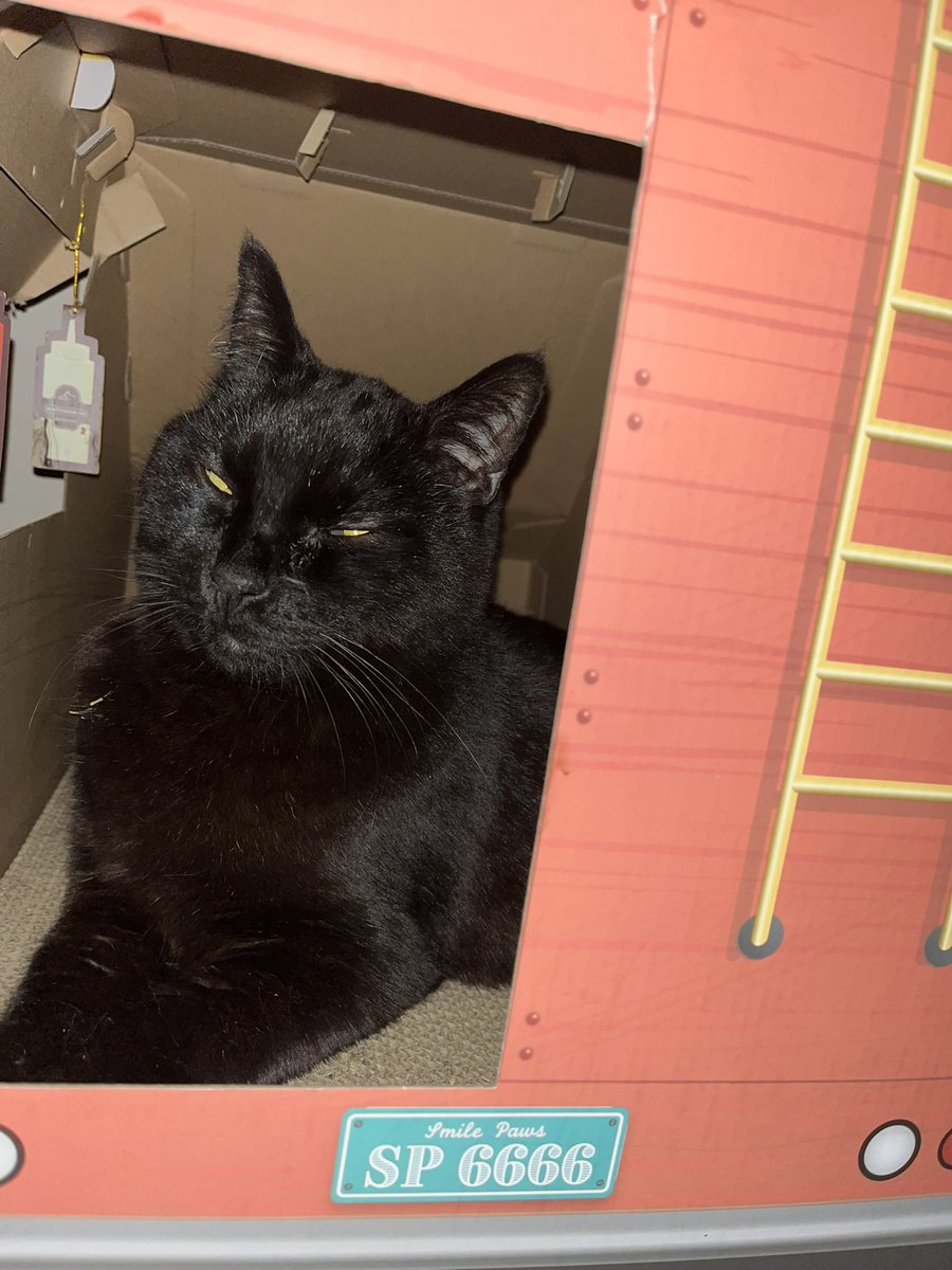 Frank Noble tweet media