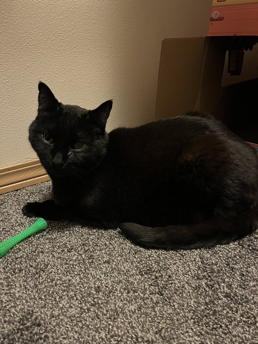 Frank Noble tweet media