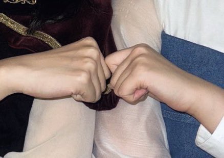 Mitzi🐥🐑 mtsktmrn peddler tweet media