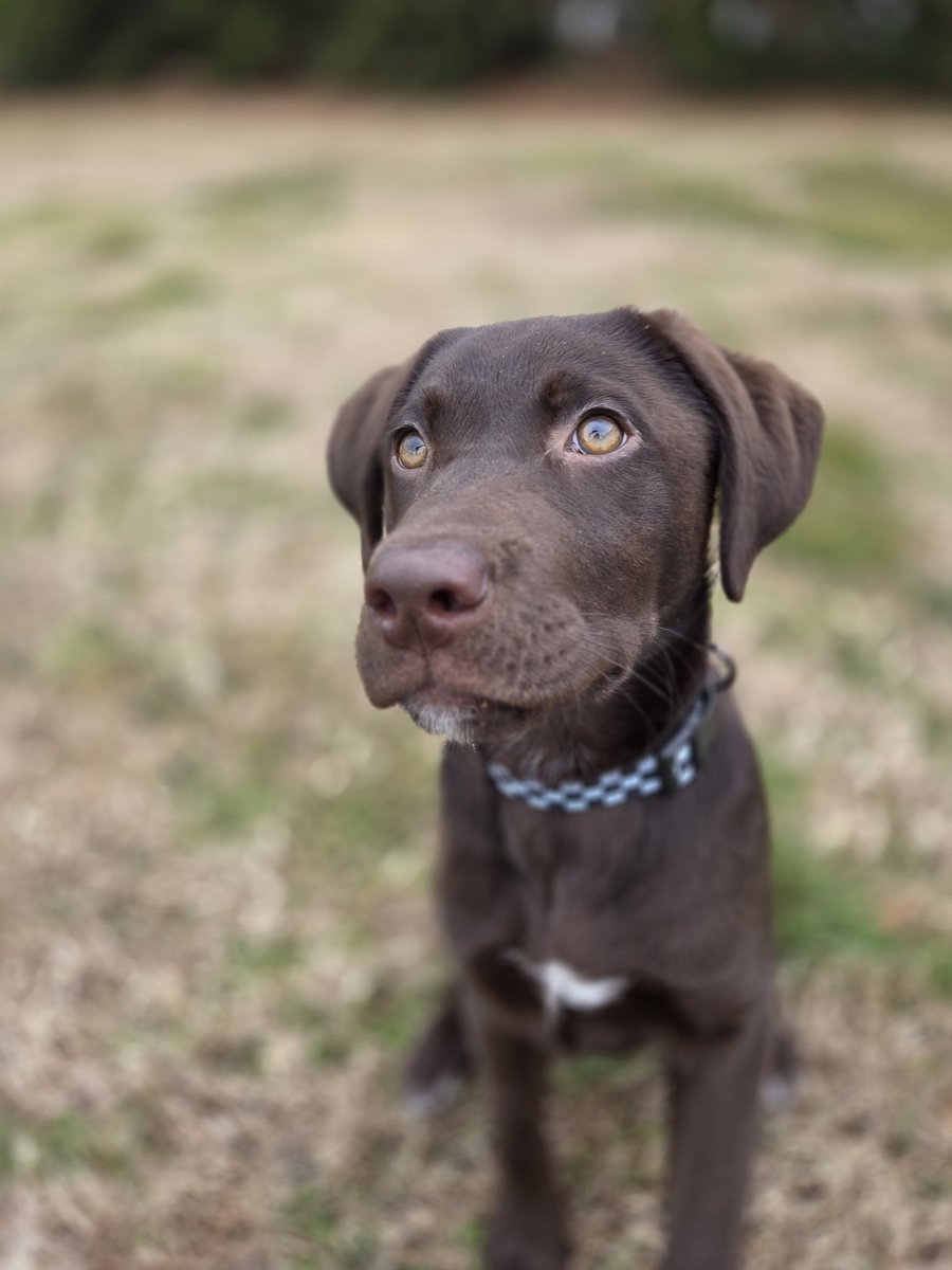 ShieldMaiden ×͜× tweet media