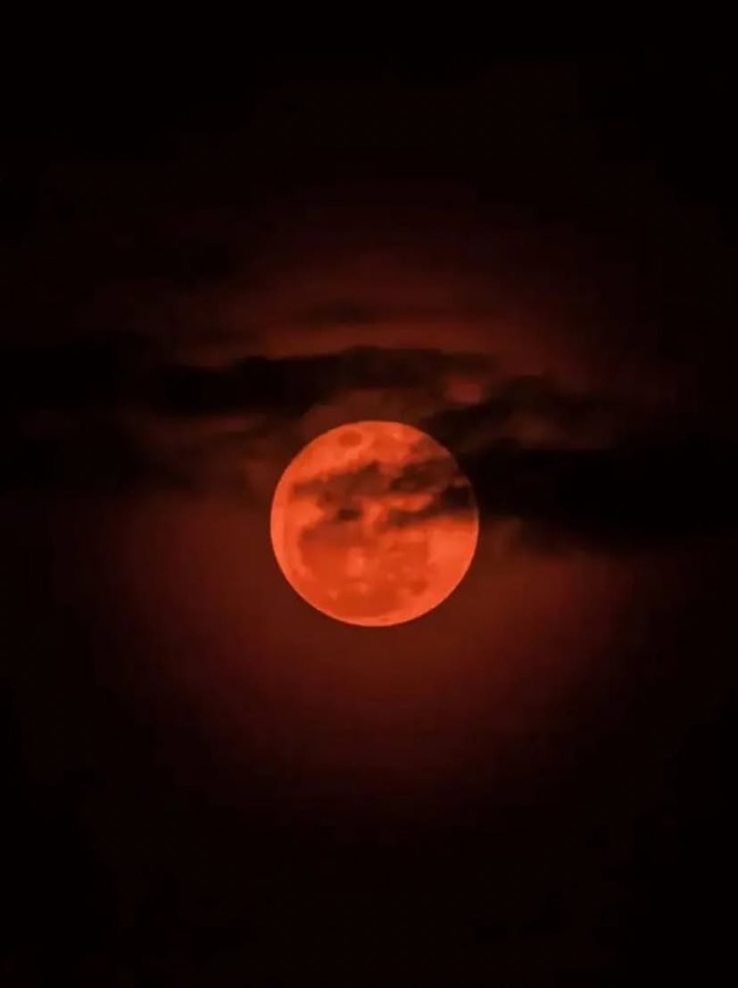 No olviden ver el cielo hoy por la madrugada. Tipo 5 de la mañana (si el clima lo permite) podrán ver la luna de sangre en su máximo esplendor.