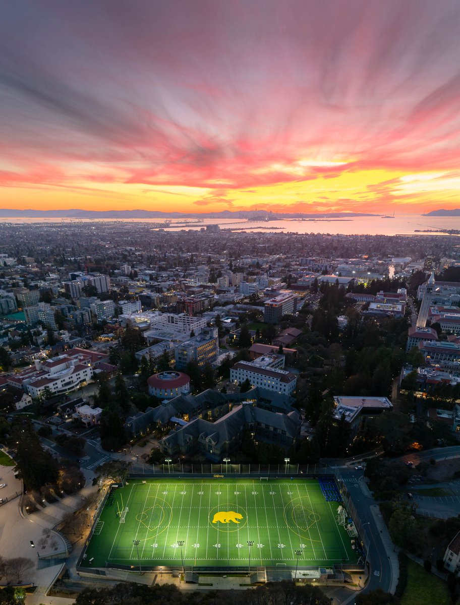 Jesse cortes tweet media