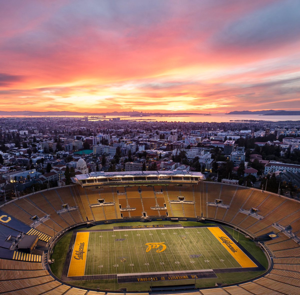 Jesse cortes tweet media