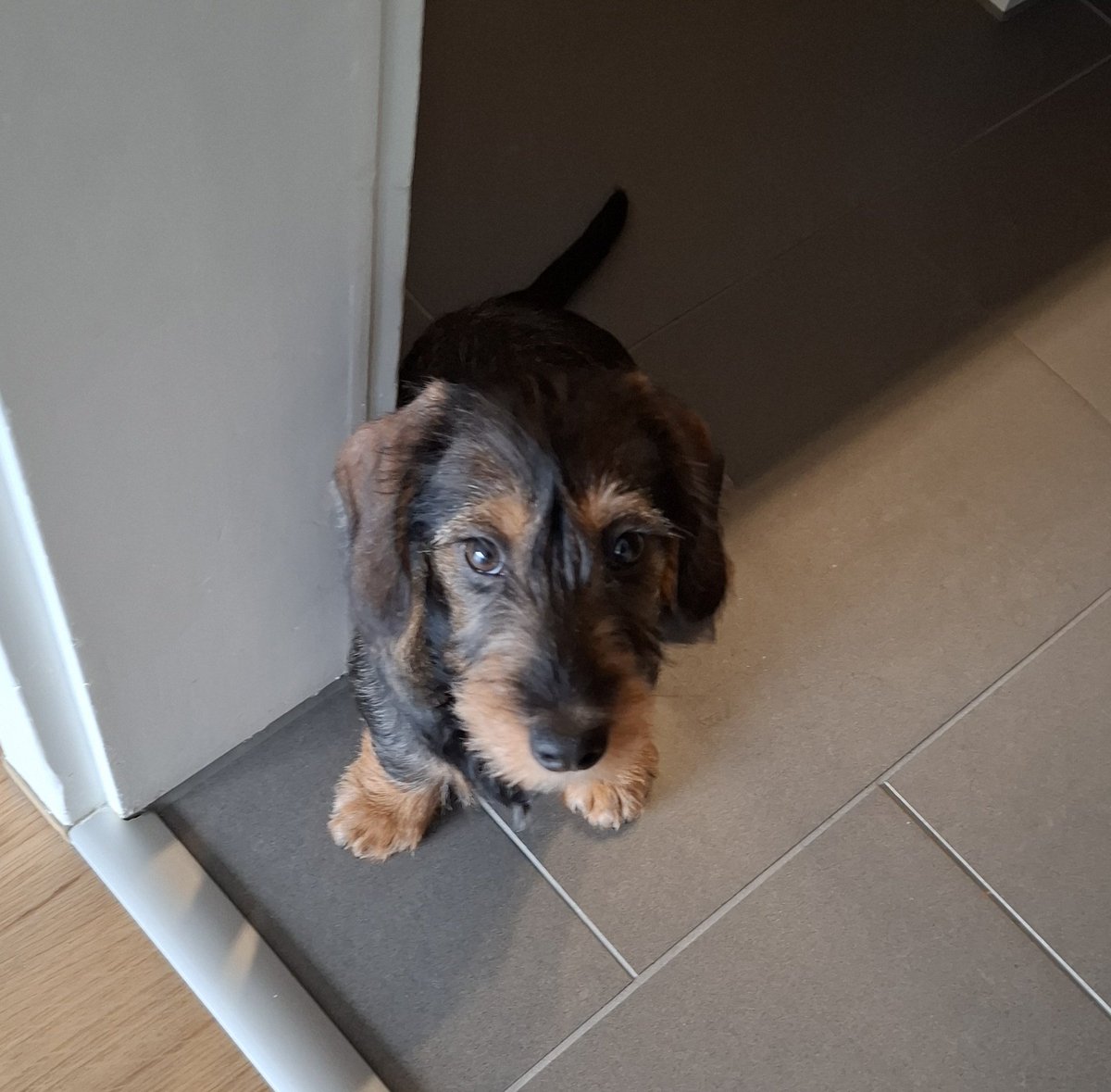 Daniel Spiess tweet media