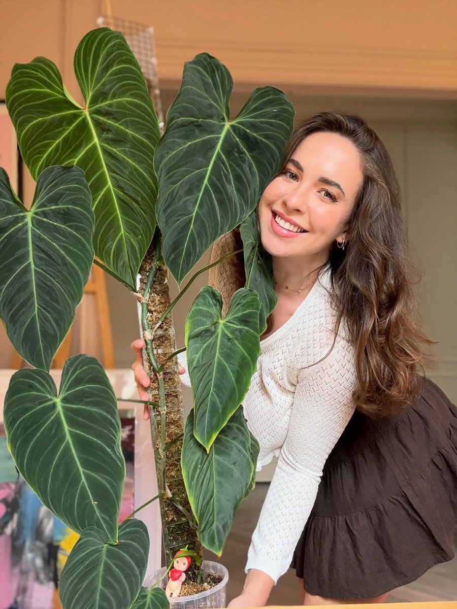 Rubymayofficial tweet media