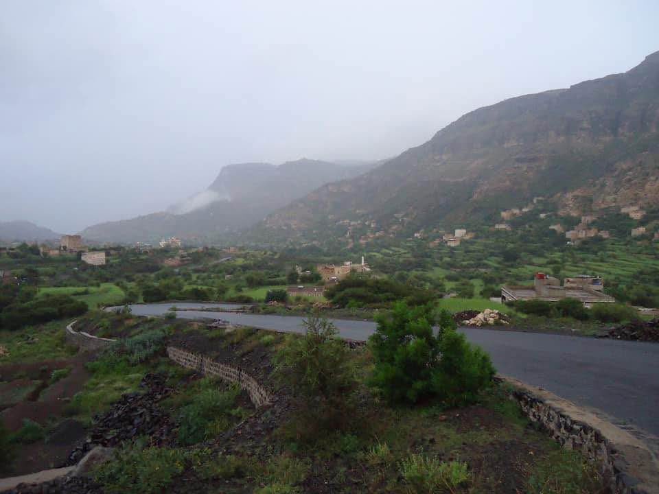 Faisal Saeed Farea (@faisalsaedfarea) on Twitter photo 