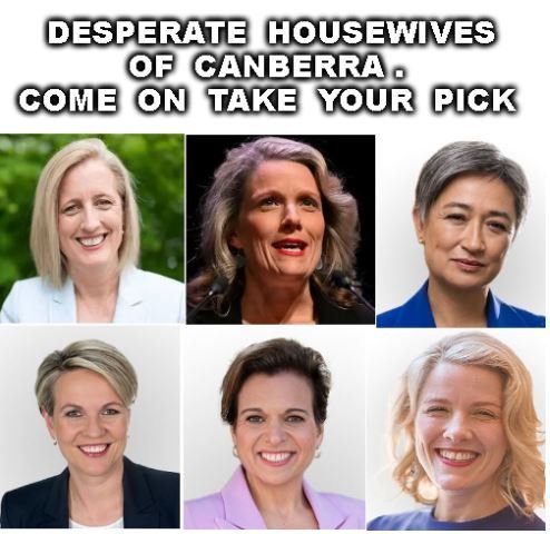 <a href="/AlboMP/">Anthony Albanese</a> No, it doesn't happen by chance. Just look at the shit diversity picks Labor have made—they're all fucking useless, same as you.