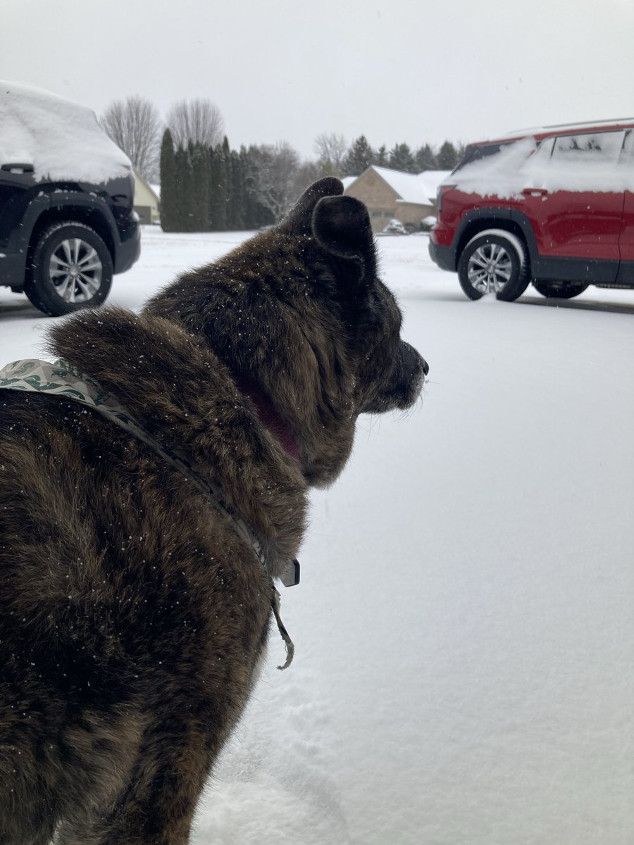 ADuckOnQuack☀️ tweet media