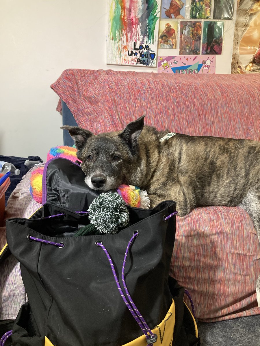 ADuckOnQuack☀️ tweet media