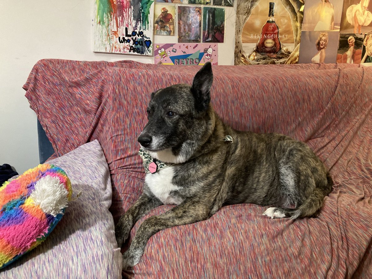 ADuckOnQuack☀️ tweet media