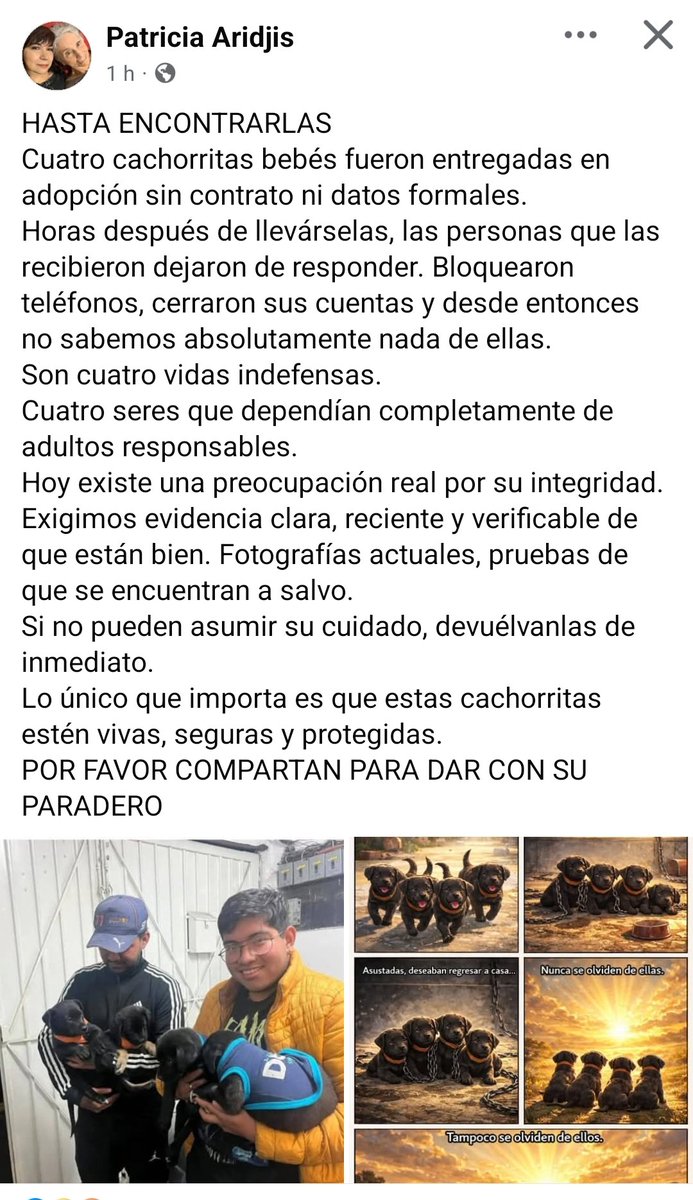 LicAnimalista's tweet photo. Dos sujetos fueron adoptar cuatro cachorritas y posteriormente cortaron toda forma de contacto con la rescatista, se buscan si tú los conoces manda DM con la información. En imagen foto de la placa del placa del vehículo que conducian. https://t.co/S07lQSNpKs