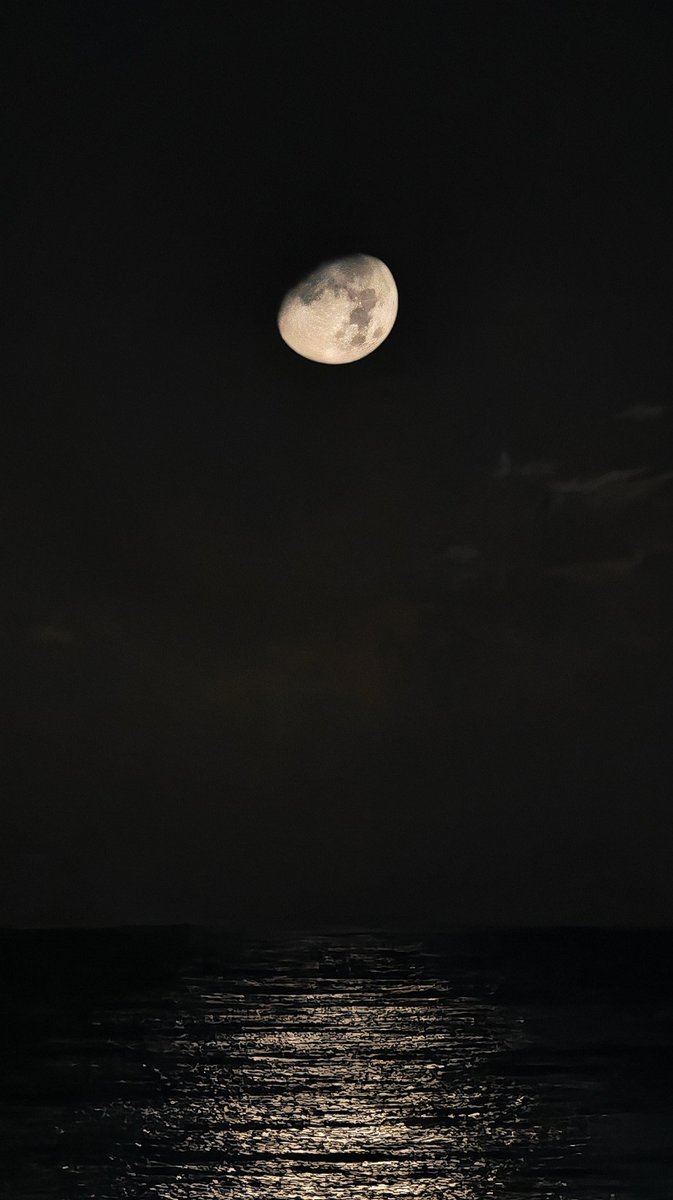 زيــاد tweet media