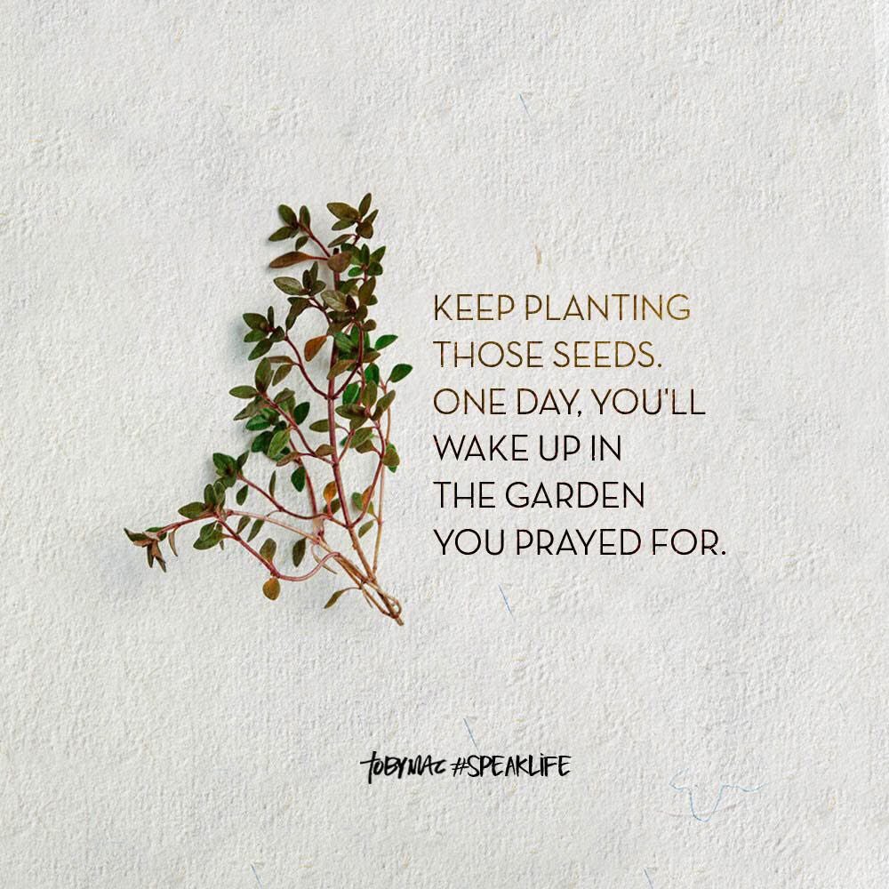 Jessica Berger tweet media