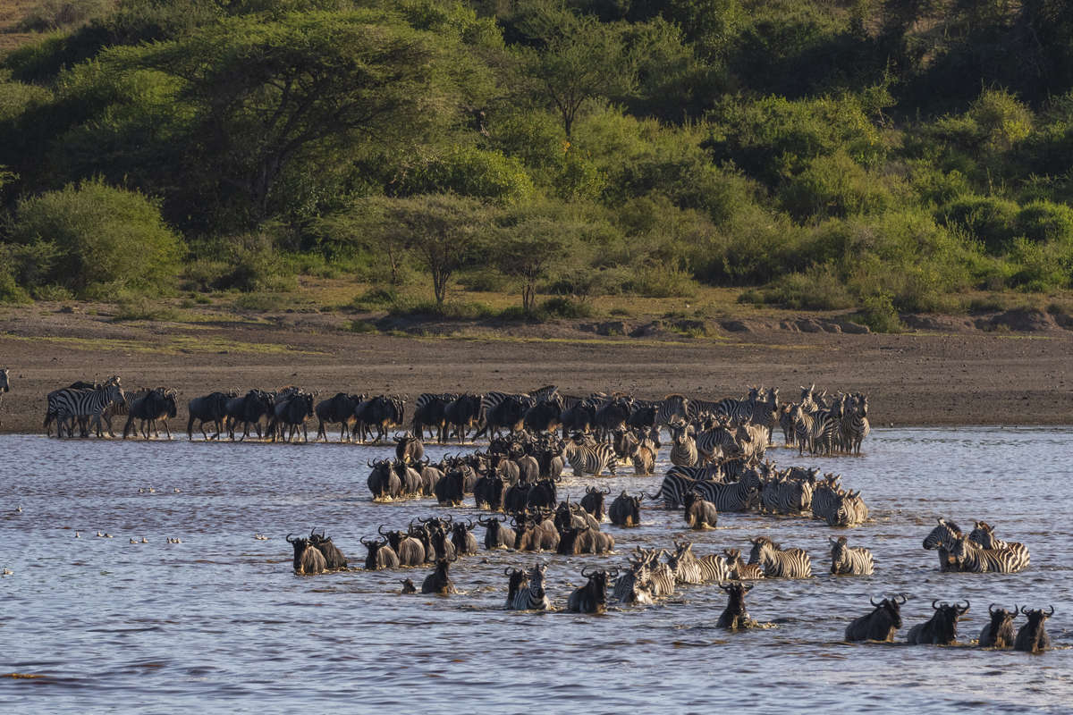 Adam Gebb tweet media