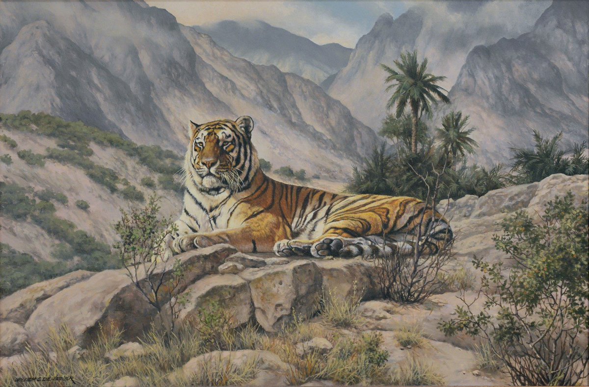 ApexPredator227's tweet photo. A Caspian tiger resting in a hill in Afghanistan. 

Artwork is by Willem Sternberg De Beer https://t.co/ZSPxXmrALB