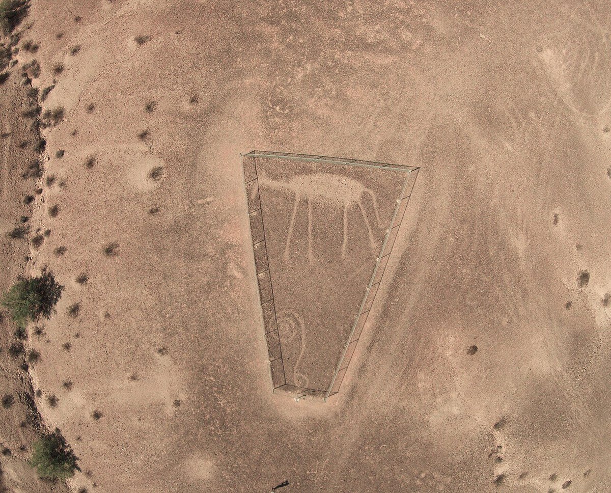 JS_StrngstSldr's tweet photo. The plains tell of horses from long ago. https://t.co/LKmqpD2C79
